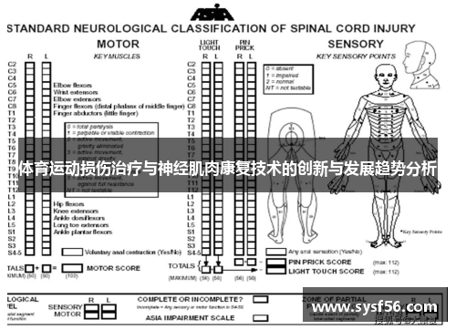 体育运动损伤治疗与神经肌肉康复技术的创新与发展趋势分析